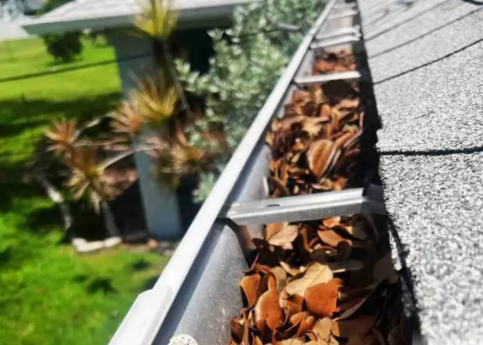 Hamilton gutter cleaning home page